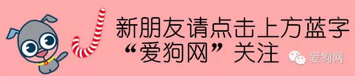 买到星期狗去哪里投诉_买到病狗可以报警么_买到病狗去哪里投诉