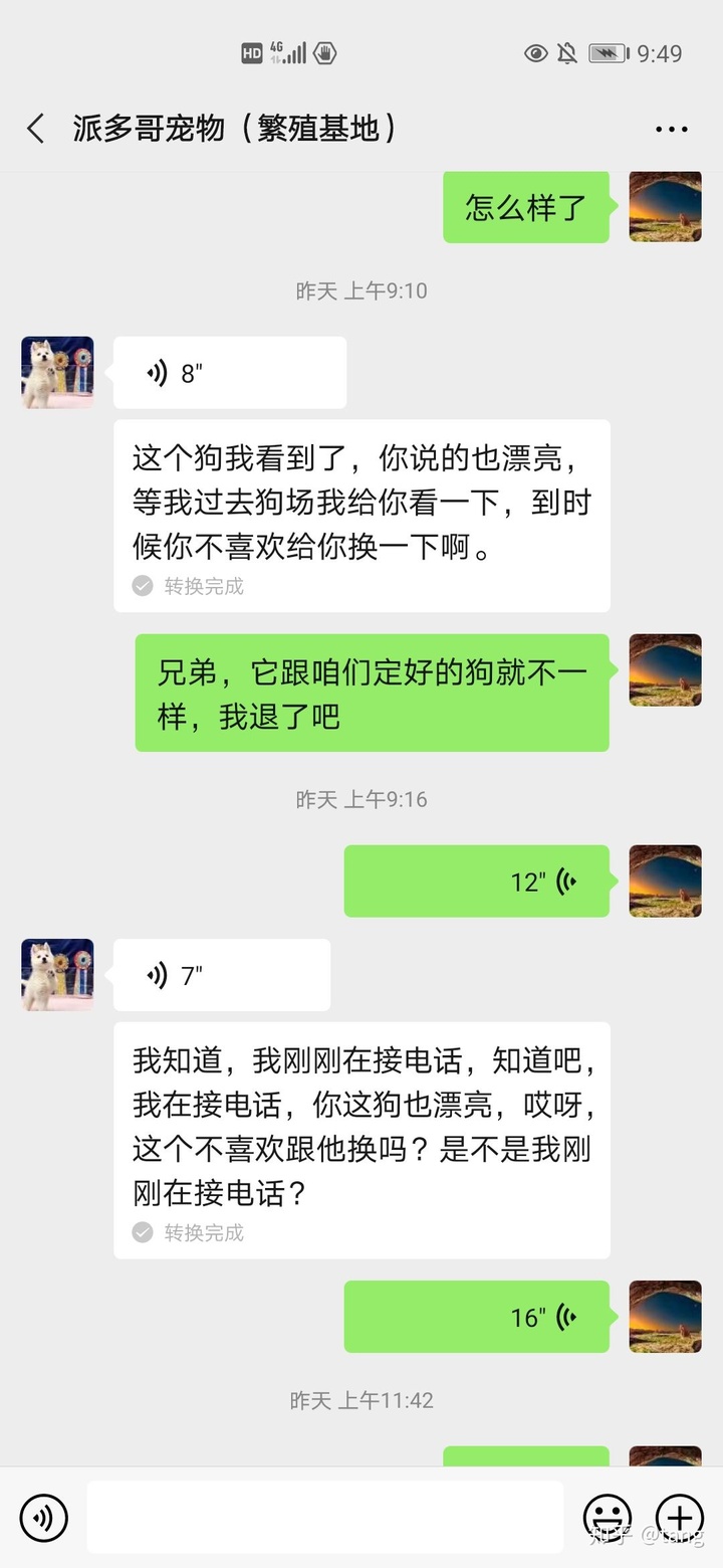 宠物店买到病狗_买到病狗去哪里投诉_怎么防止买到病狗