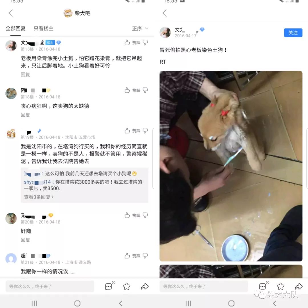 宠物店买到病狗_买到病狗去哪里投诉_怎么防止买到病狗