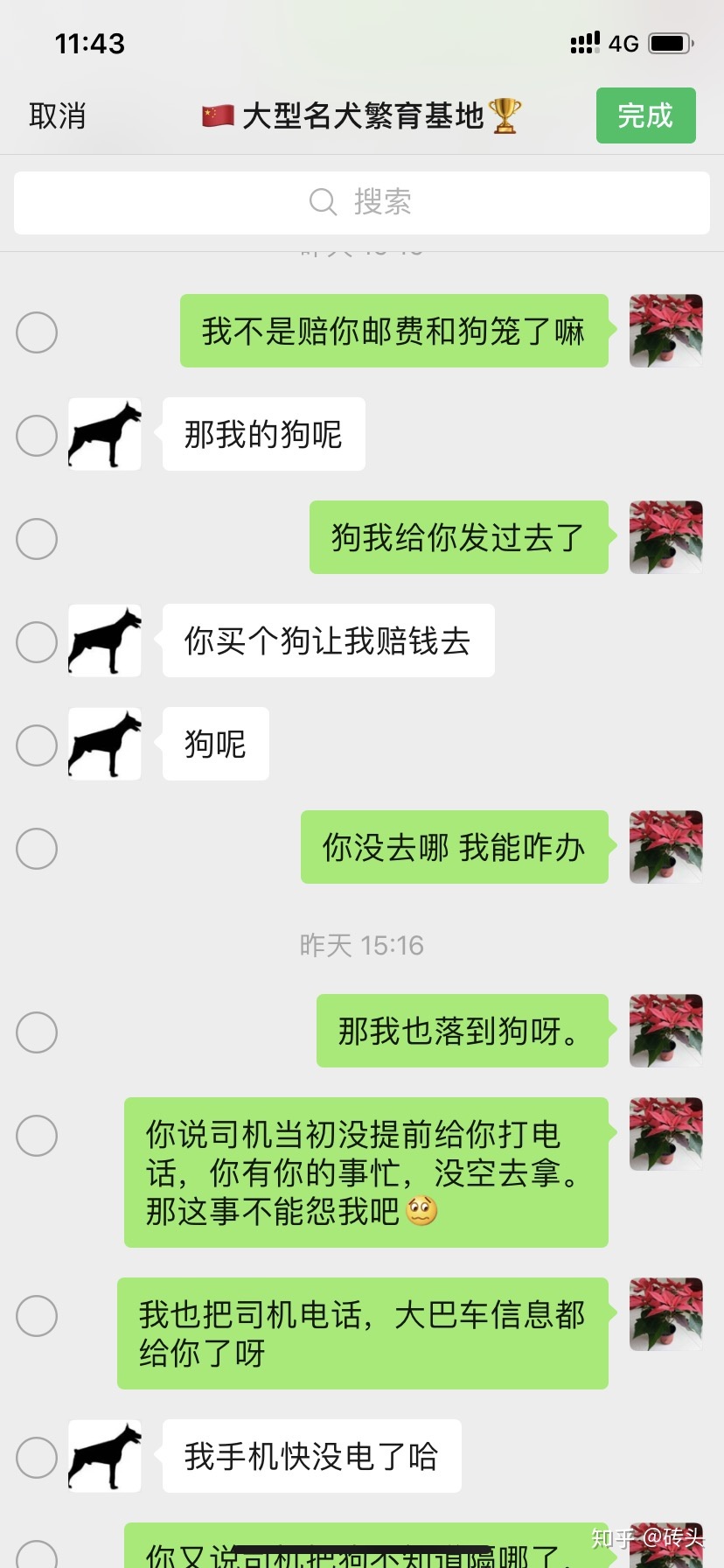 买到病狗去哪里投诉_怎么防止买到病狗_宠物店买到病狗