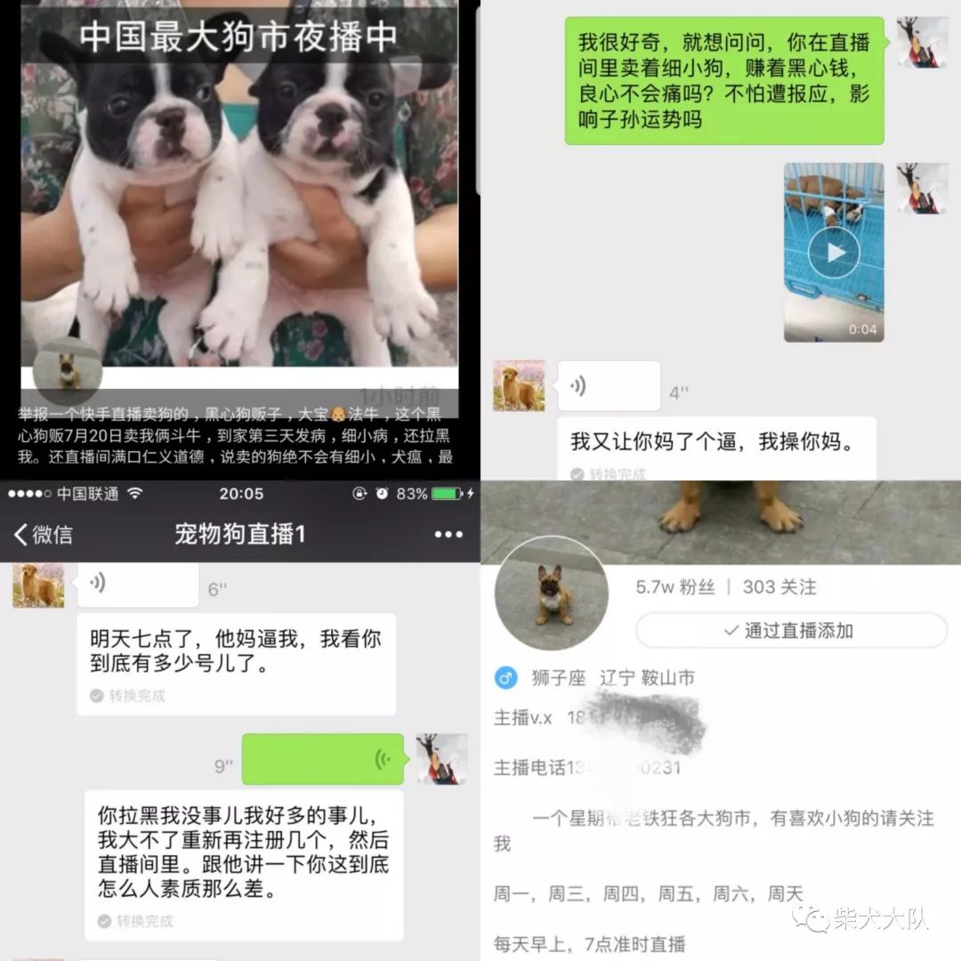 买到病狗去哪里投诉_宠物店买到病狗_怎么防止买到病狗