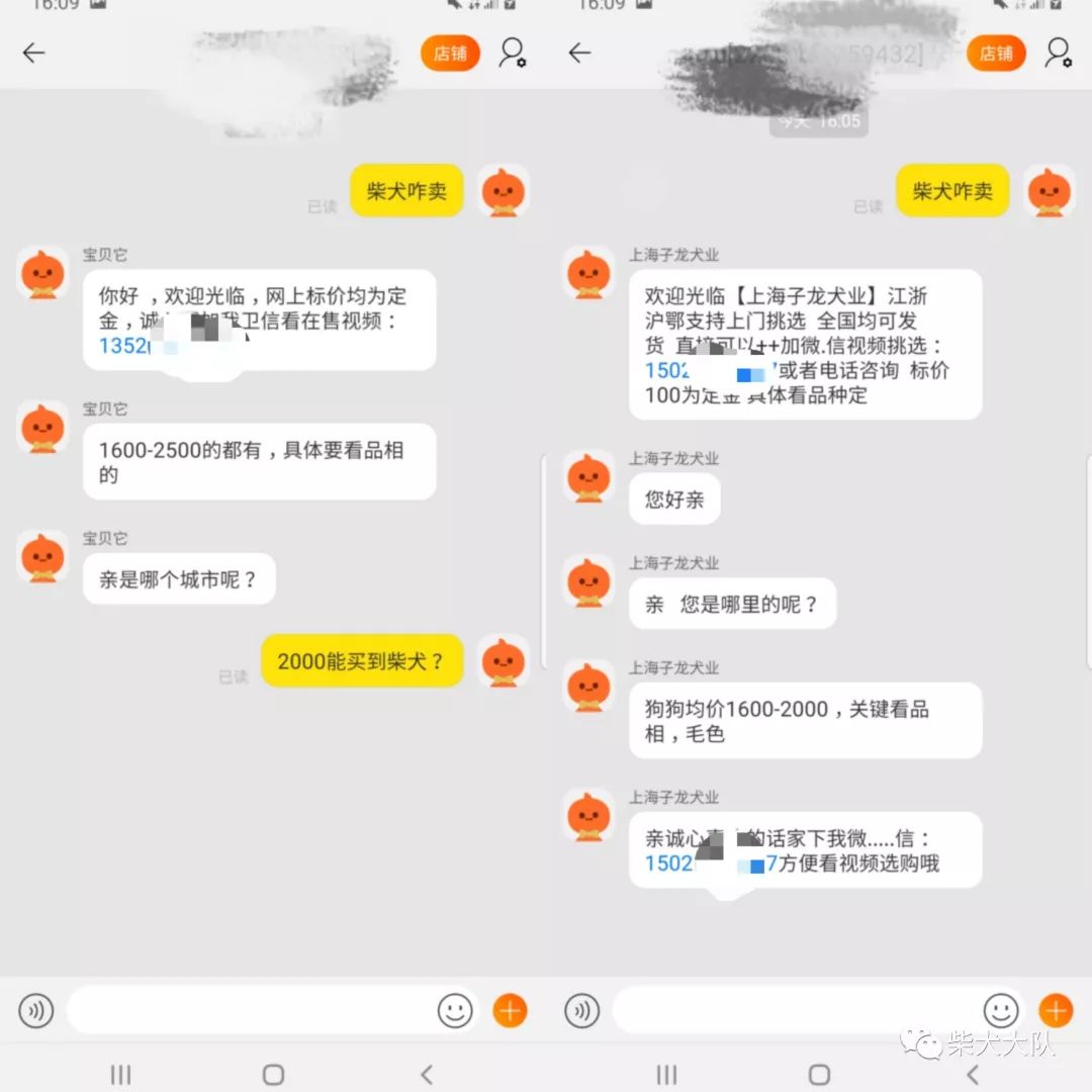 买到病狗去哪里投诉_宠物店买到病狗_怎么防止买到病狗