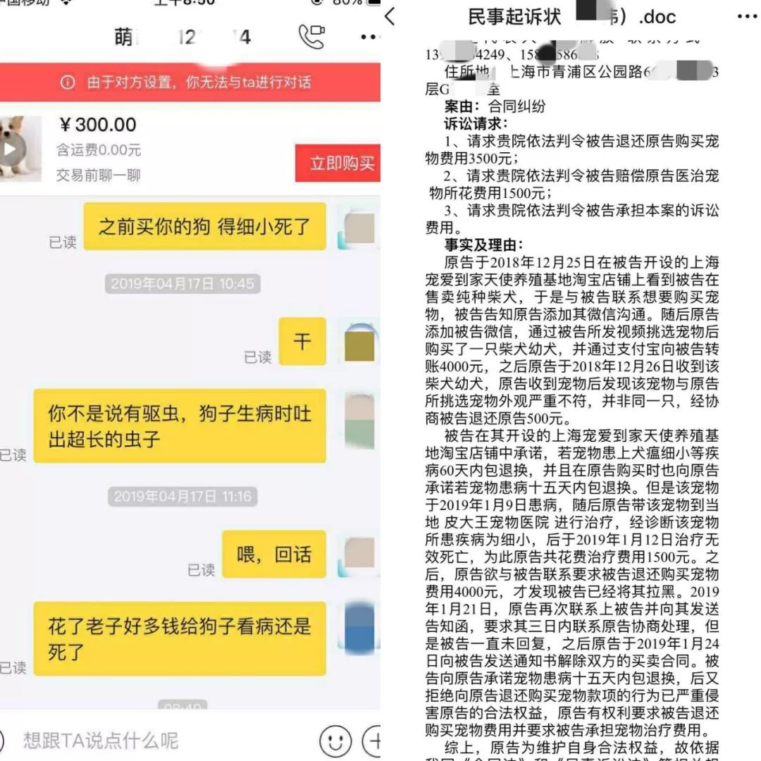 买到病狗去哪里投诉_怎么防止买到病狗_宠物店买到病狗