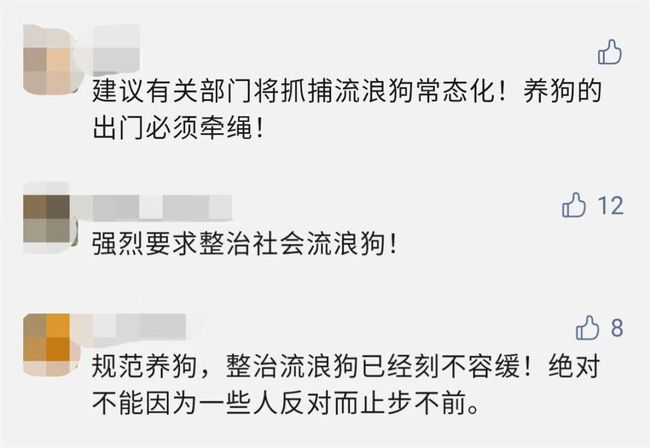 新手养什么狗最好,要聪明的狗_广州养狗_什么狗最好养