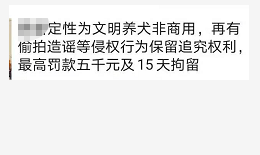 广州养狗_什么狗最好养_新手养什么狗最好,要聪明的狗