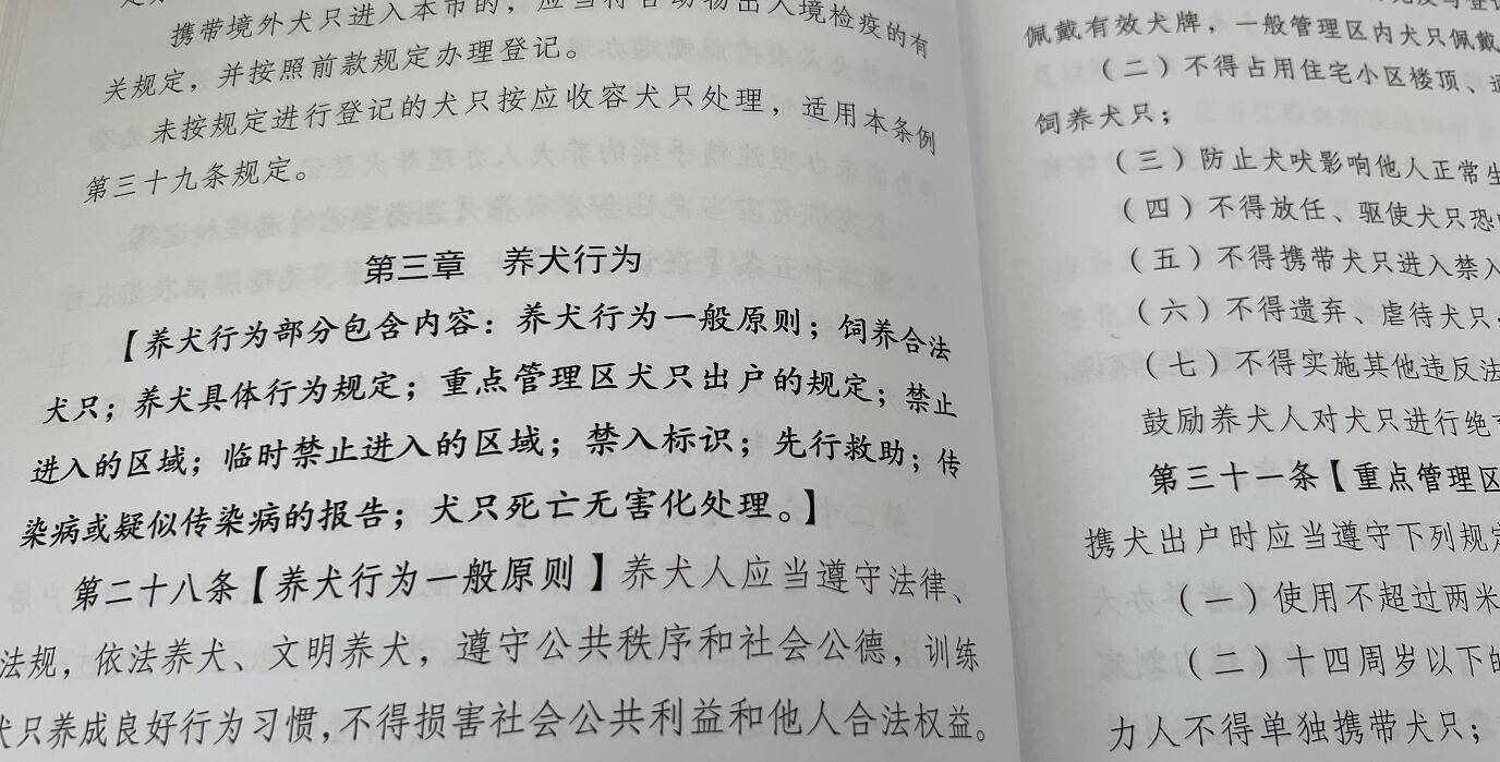 兖州养狗管理规定_养一只猫一只狗还是养两只狗_兖州90后女孩养蝎子的联系方式