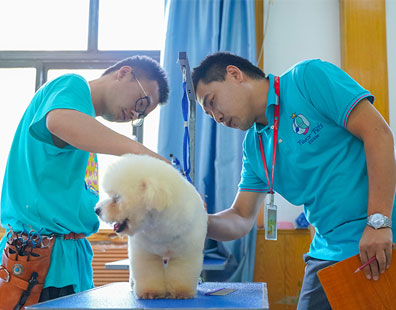 有美容专业的学校_乌鲁木齐哪有狗狗美容培训学校_有培训开锁的学校吗