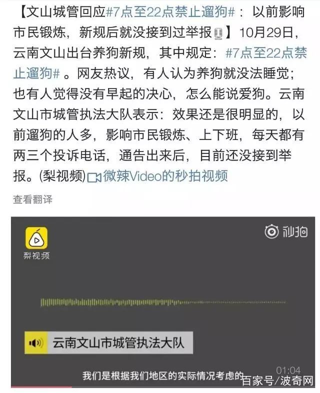 养什么狗好养_养哪几种狗好养能赚钱_城市养狗管理规定