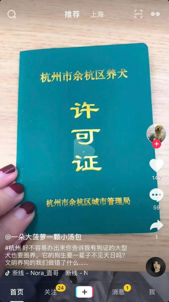 新手养什么狗最好,要聪明的狗_泰迪狗茶杯狗好养吗_城市养狗管理规定