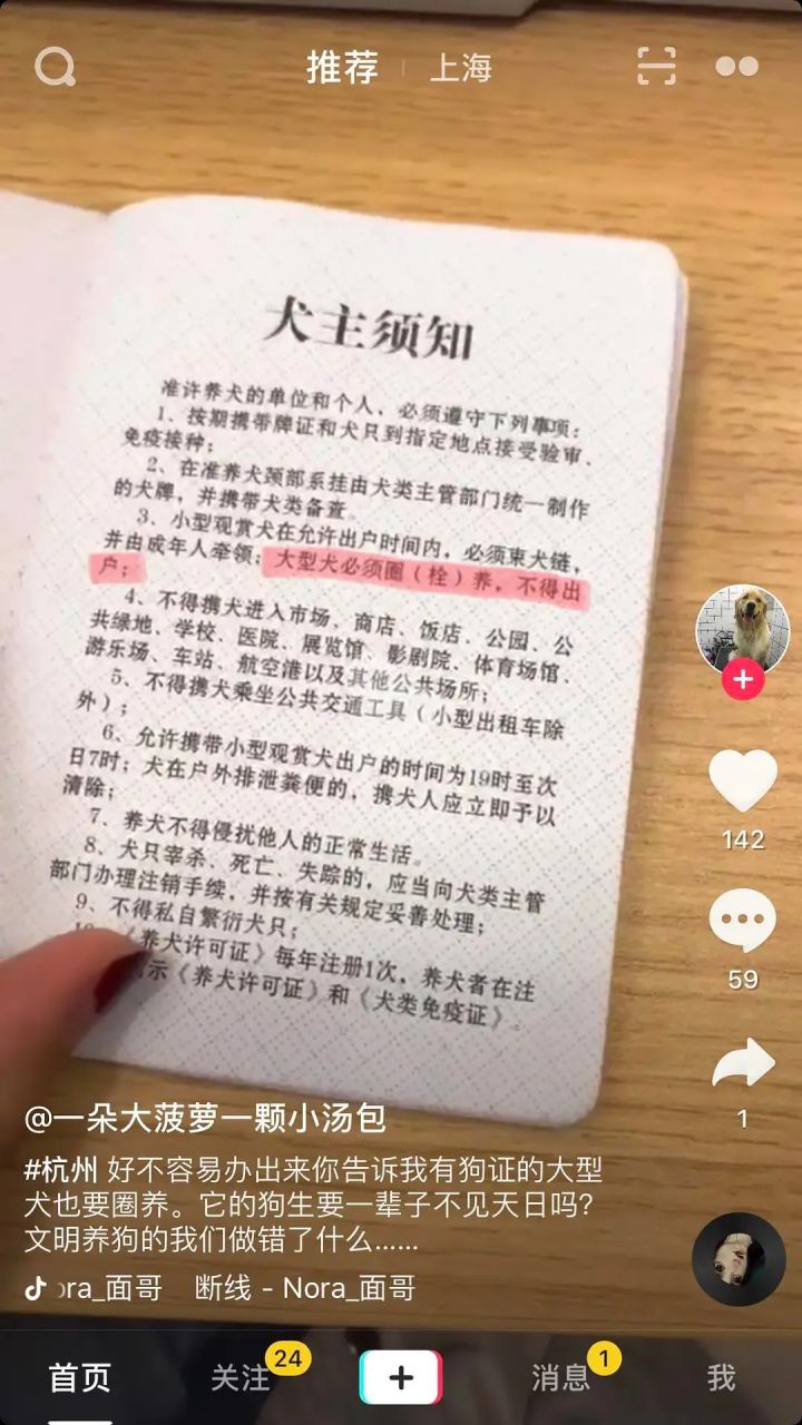 城市养狗管理规定_泰迪狗茶杯狗好养吗_新手养什么狗最好,要聪明的狗