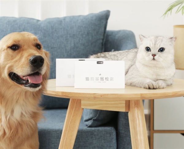 猫比狗好养吗_养狗还是养猫_狗和猫能一起养破财吗