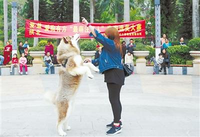 细狗品种有哪些品种_世界最萌的狗狗的图片_最萌的狗品种