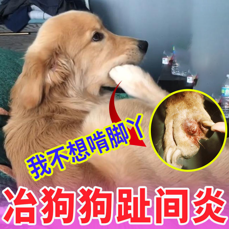 如何训练狗狗使用狗狗厕所【图】_博美狗狗如何饲养_博美狗狗怎么训练
