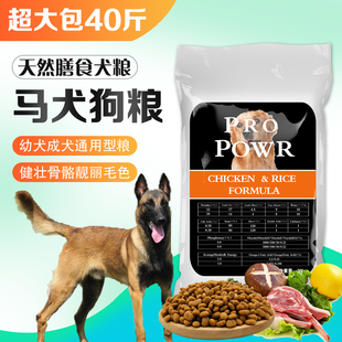 博美狗狗怎么训练_狗狗训练学校打狗狗吗_博美狗狗怎么洗澡