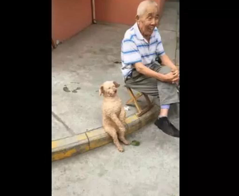 中二病森大人跟狗_中二病森大人本子_中二病森大人跟狗