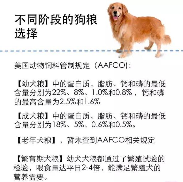 单身女养大型公犬_北京养狗规定大型犬_养昆明犬公犬好母犬好