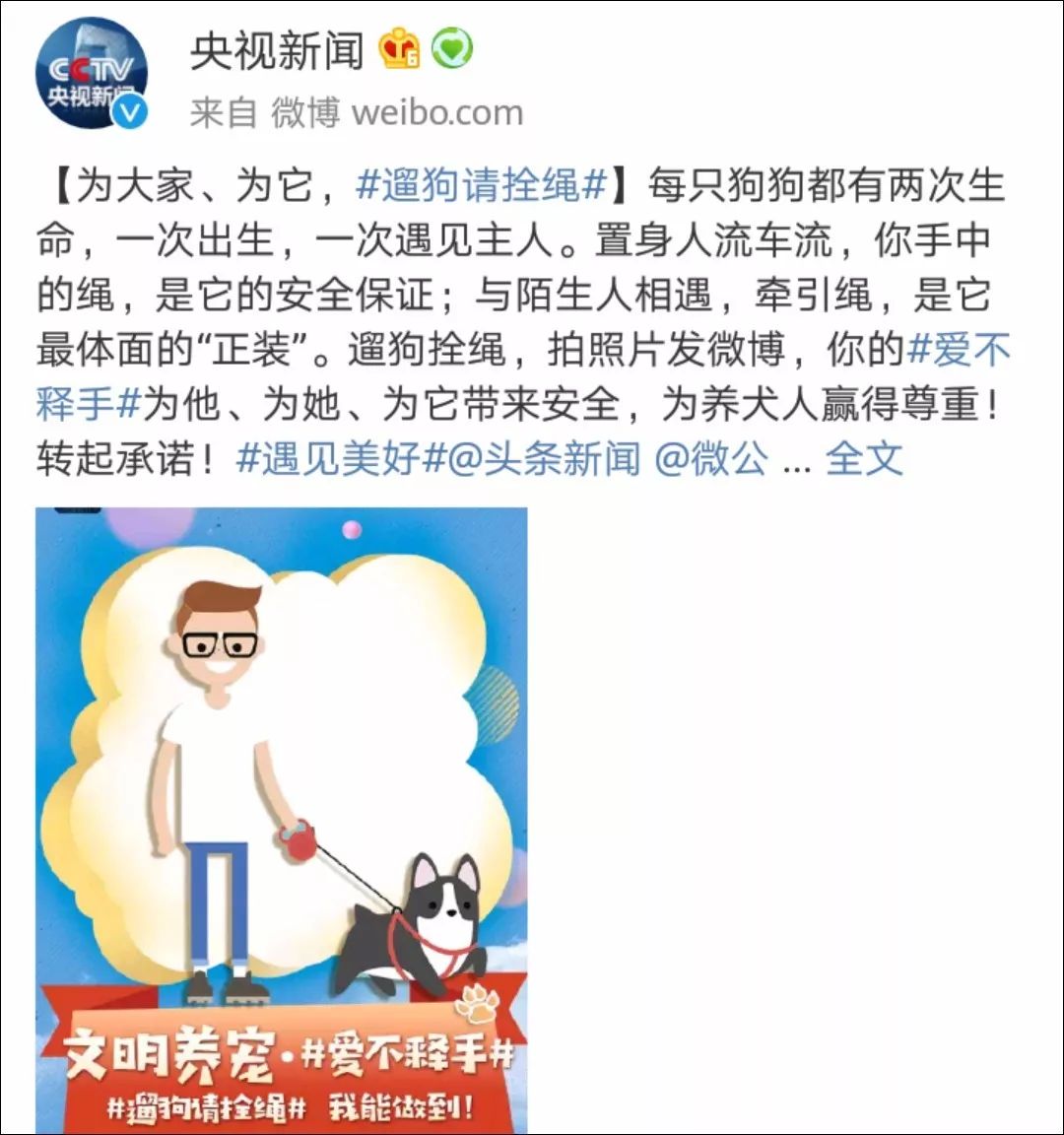 杭州土狗可以办狗证吗_杭州养狗一定要办狗证_长沙办狗证要钱吗2019