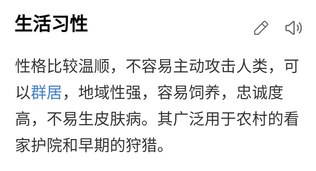 杭州养狗一定要办狗证_杭州土狗可以办狗证吗_长沙办狗证要钱吗2019