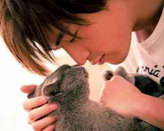 男不养猫女不玩狗案例_男不养猫女不养狗的原因_男不养猫女不养狗有啥道理?