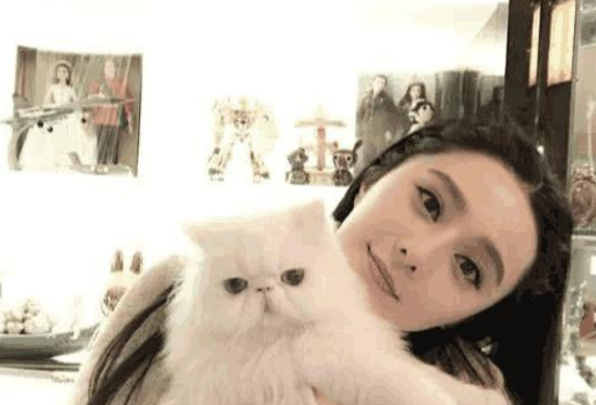 男不养猫女不玩狗案例_男不养猫女不养狗有啥道理?_男不养猫女不养狗的原因