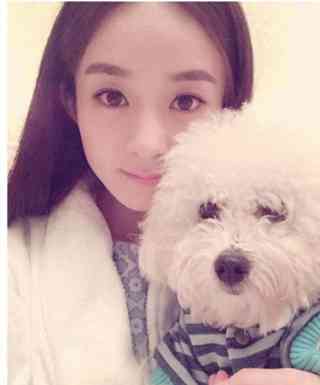 男不养猫女不养狗有啥道理?_男不养猫女不养狗的原因_男不养猫女不玩狗案例