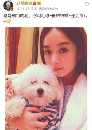 男不养猫女不养狗的原因_男不养猫女不养狗有啥道理?_男不养猫女不玩狗案例