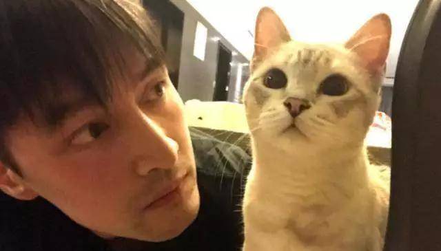 男不养猫女不养狗有啥道理?_男不养猫女不养狗的原因_男不养猫女不玩狗案例