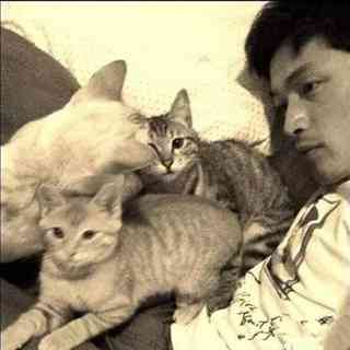 男不养猫女不养狗的原因_男不养猫女不养狗有啥道理?_男不养猫女不玩狗案例