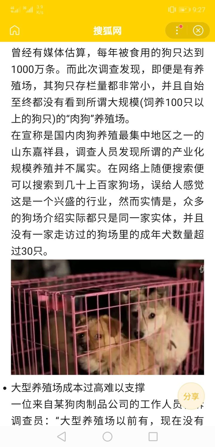 中国养蜜蜂网_新手养什么狗最好,要聪明的狗_中国农业网 养狗