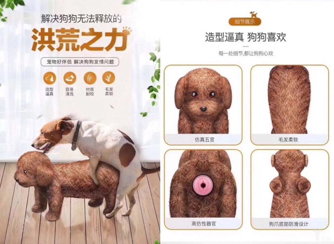 狗品种_狗品种介绍_狗品种大全