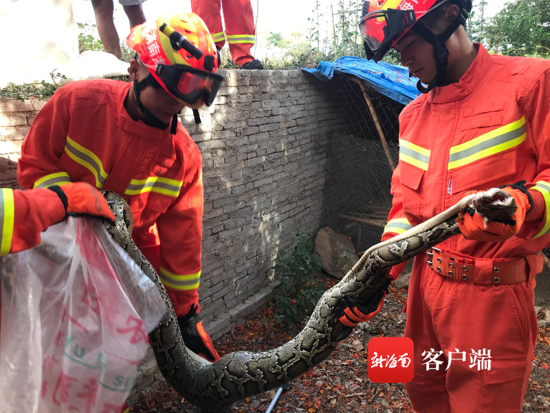 蛇最多出没的地方_长沙美女出没最多的地方_世界上蛇最多的地方