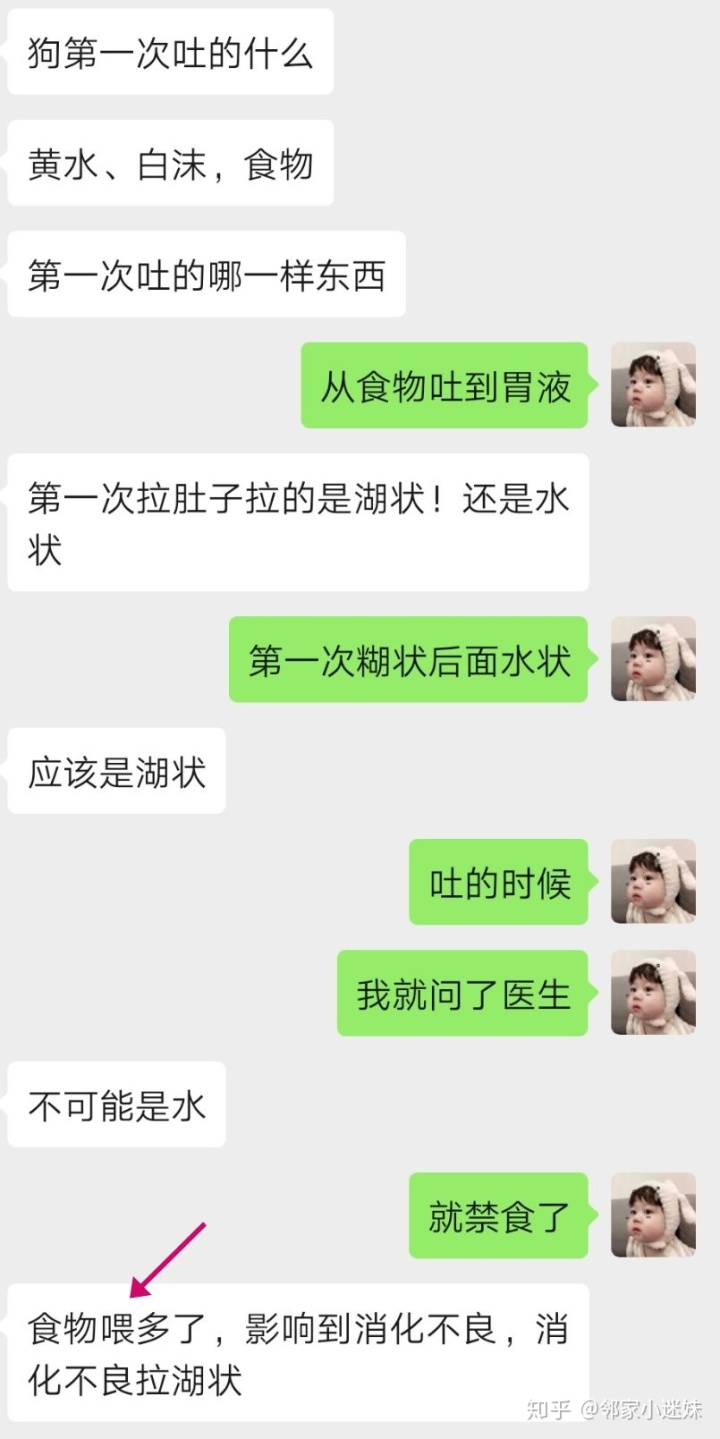 农村可以养几十条狗吗_细小过后怎么最快养狗_细小过后几天可以重新养狗