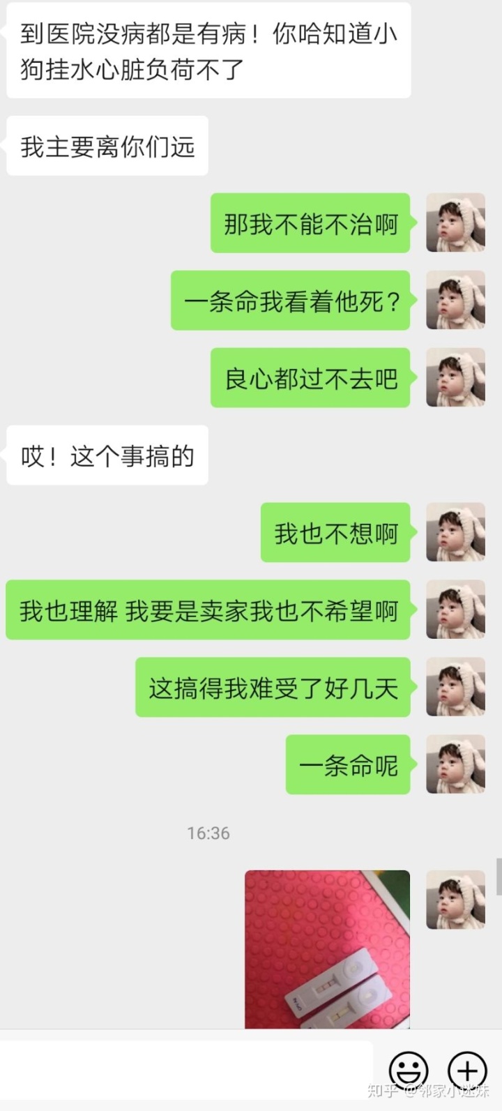 细小过后怎么最快养狗_农村可以养几十条狗吗_细小过后几天可以重新养狗