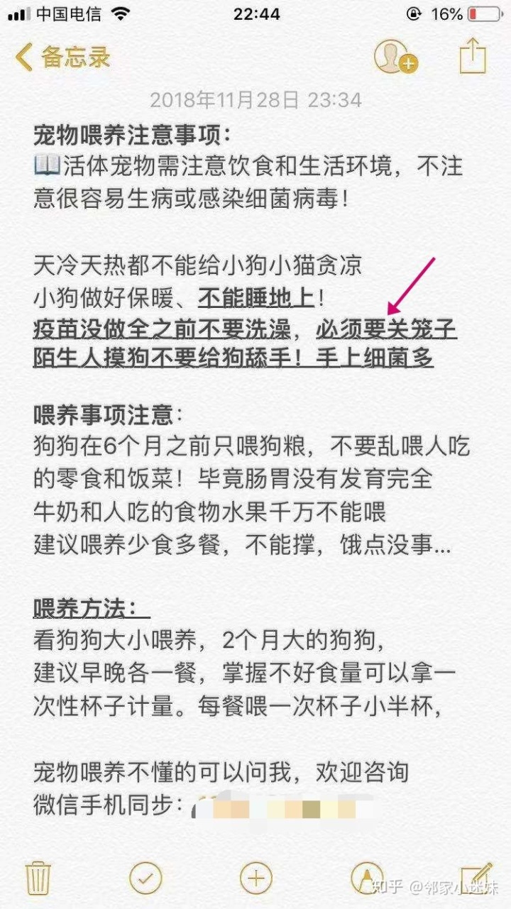 细小过后怎么最快养狗_细小过后几天可以重新养狗_农村可以养几十条狗吗