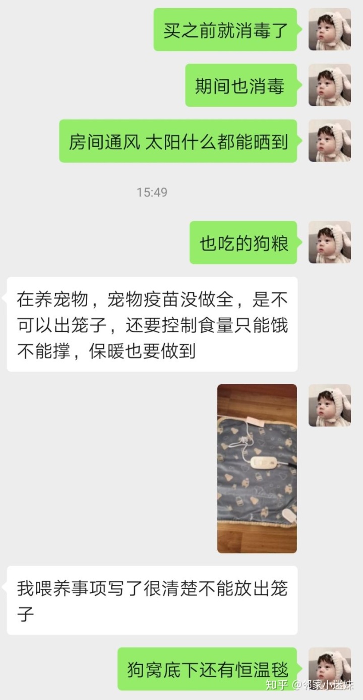 细小过后怎么最快养狗_农村可以养几十条狗吗_细小过后几天可以重新养狗