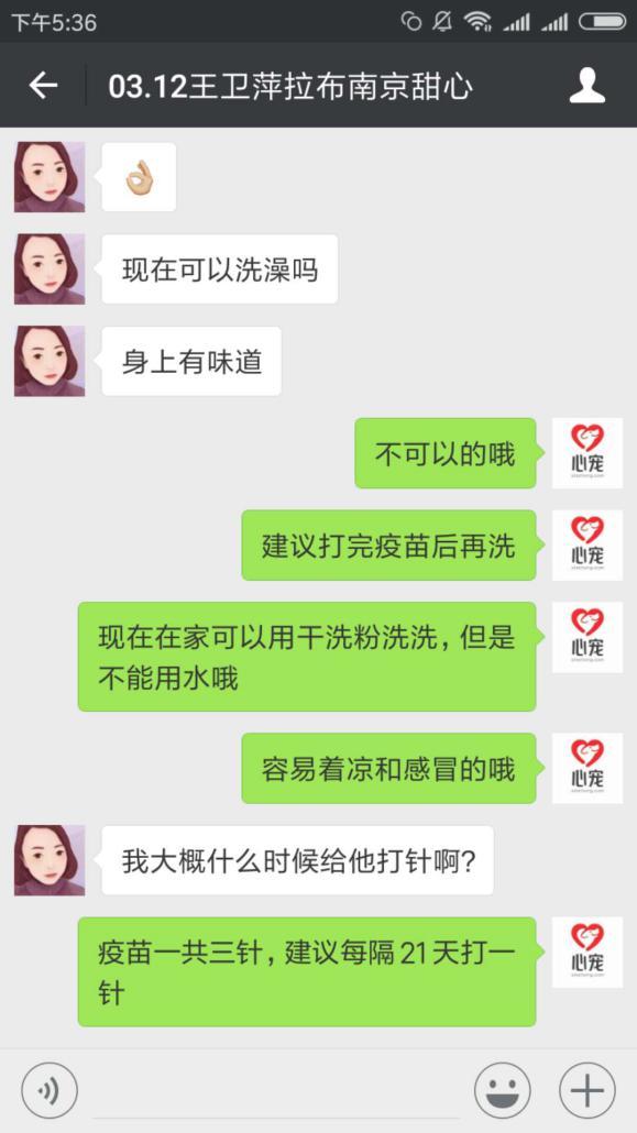 在宠物店买到病狗怎么维权_四十条狗有一条病狗_病狗