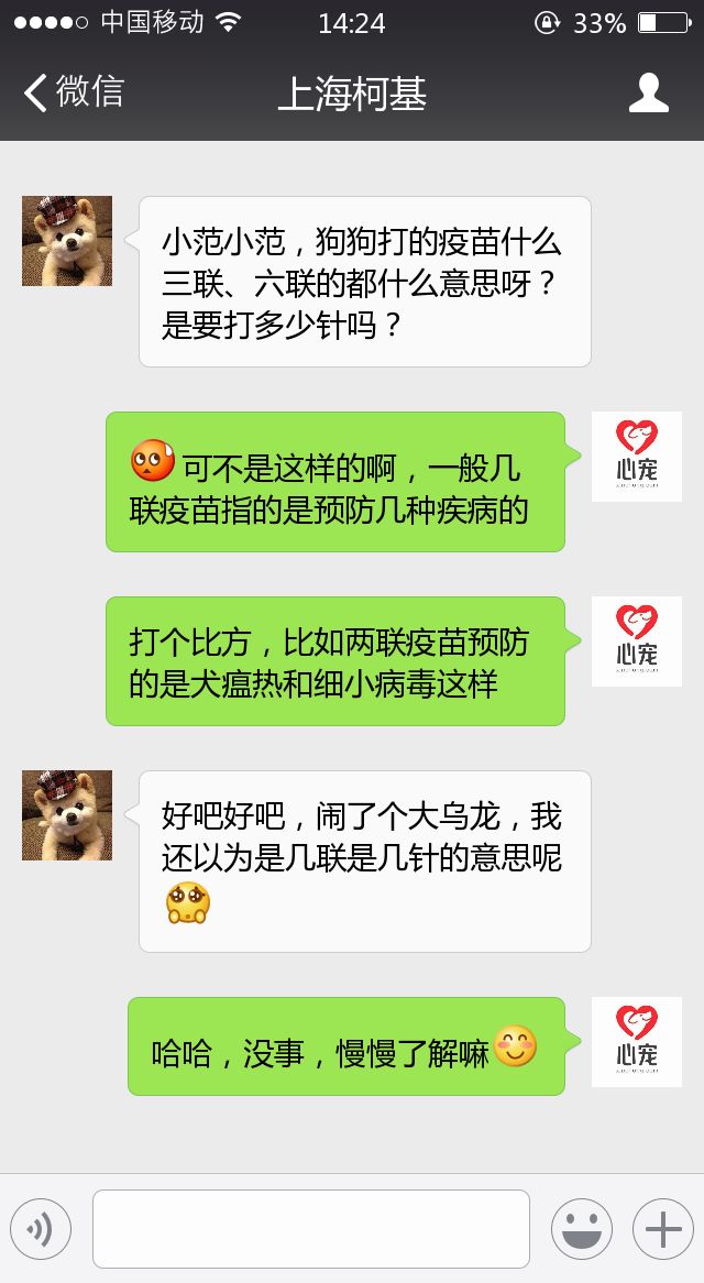 四十条狗有一条病狗_在宠物店买到病狗怎么维权_病狗