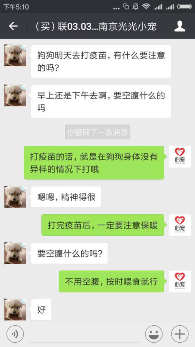 四十条狗有一条病狗_病狗_在宠物店买到病狗怎么维权