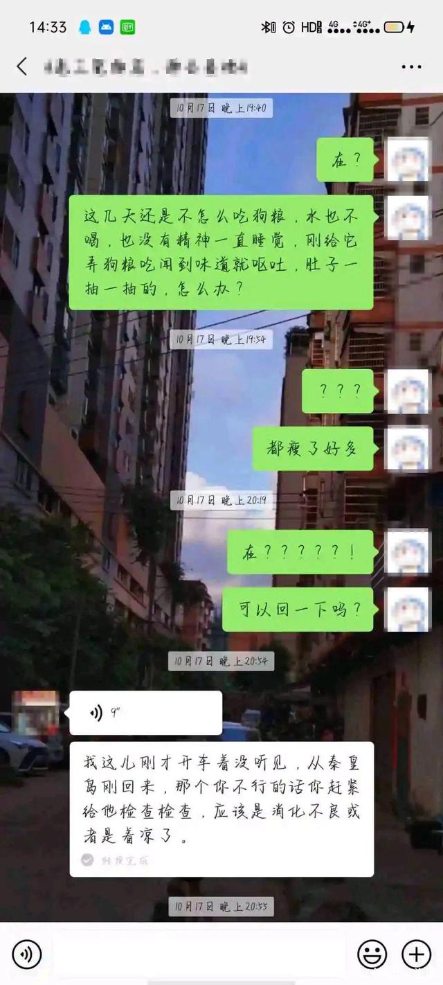 宠物店不洗病狗_宠物店卖病狗可以报警吗_厦门宠物店卖病狗