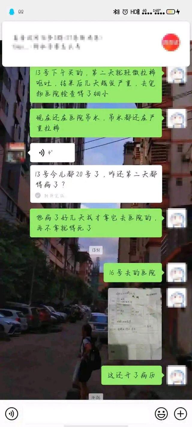 宠物店不洗病狗_厦门宠物店卖病狗_宠物店卖病狗可以报警吗