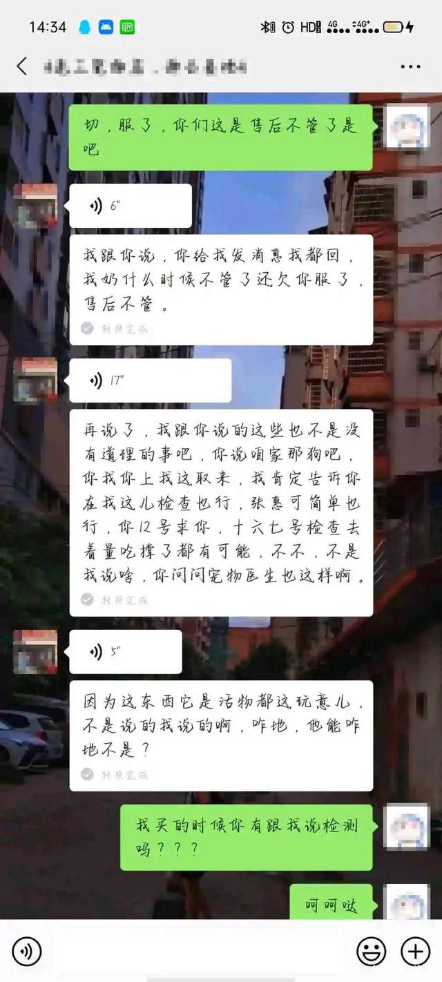 宠物店卖病狗可以报警吗_厦门宠物店卖病狗_宠物店不洗病狗