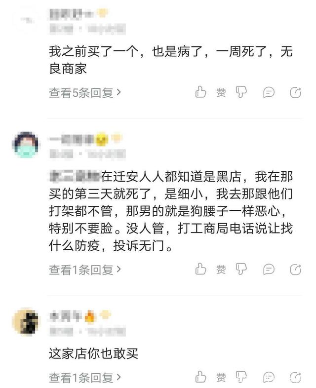 宠物店不洗病狗_厦门宠物店卖病狗_宠物店卖病狗可以报警吗