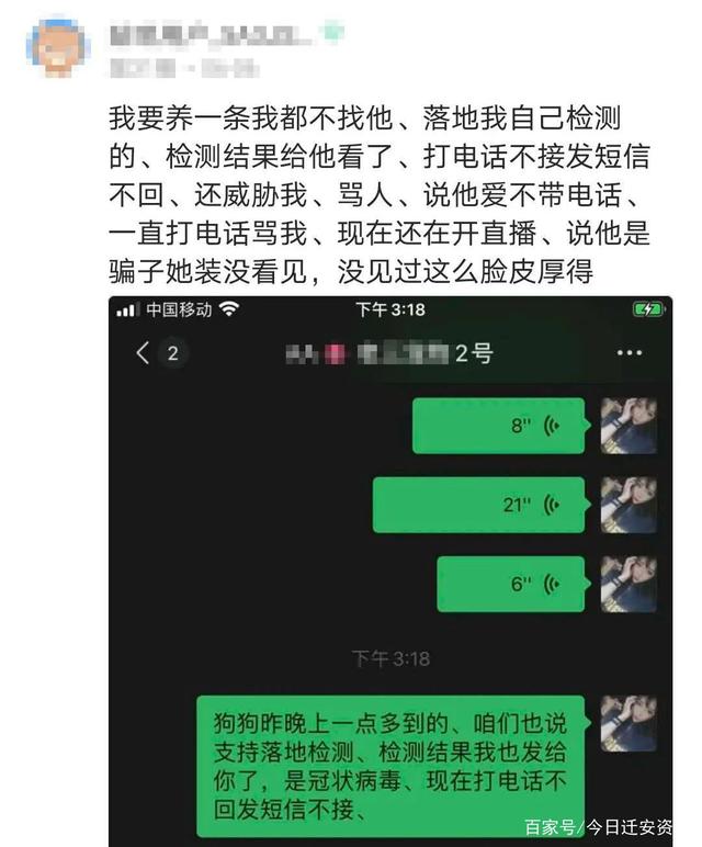 宠物店卖病狗可以报警吗_厦门宠物店卖病狗_宠物店不洗病狗