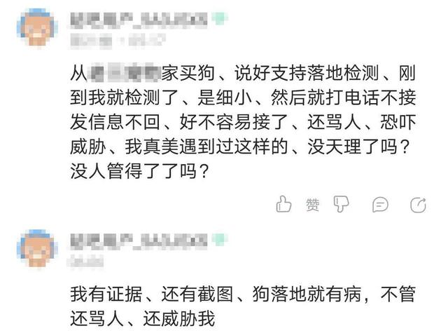 宠物店卖病狗可以报警吗_厦门宠物店卖病狗_宠物店不洗病狗