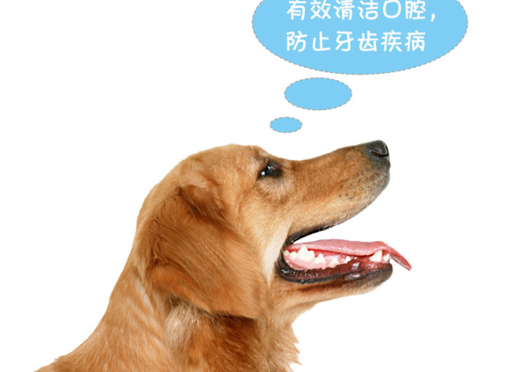 怎么样训练狗狗叼东西_如何训练狗狗使用狗狗厕所【图】_怎么训练狗狗吃东西
