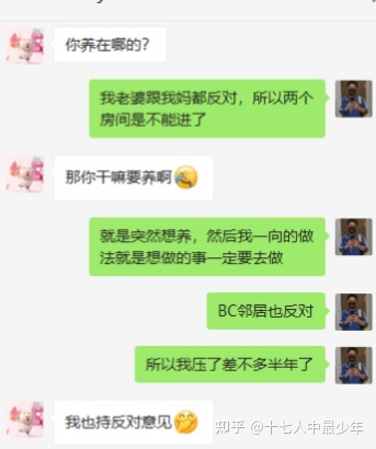 养博美犬好还是养泰迪狗好_养哪几种狗好养能赚钱_养狗怎么样