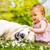 家中养狗对孩子的影响，不是吓唬你这些事知道越早越好