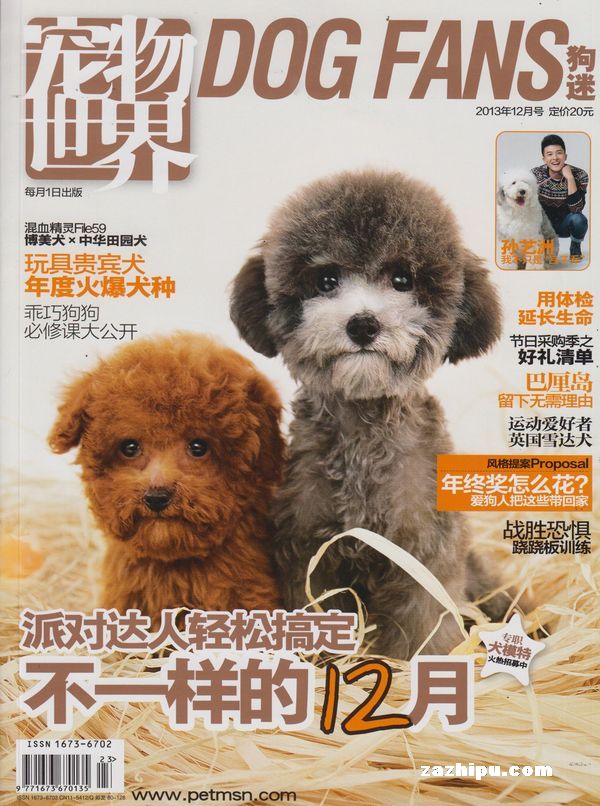 宠物店寄养狗多少钱_青海海西格尔木宠物店寄养服务_上海宠物店寄养价格