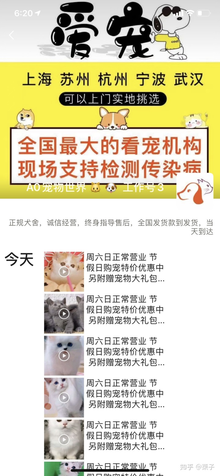 黑心猫喵喵_黑心猫喵喵_萝莉控by喵喵猫喵喵