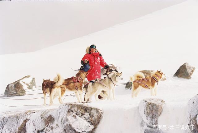 南极大冒险八只狗品种_日本南极爱斯基摩狗_哆啦a梦南极冒险百度云
